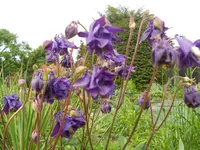 DSCN2075.webp