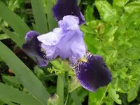 004.webp