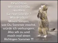 3zcf5mpt7gl.webp