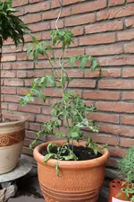 K1024_IMG_2413.webp