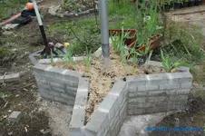 comp_DSC09511.webp