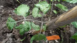 24. Mai 2013(57).webp