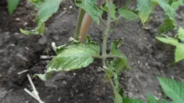 24. Mai 2013(54).webp