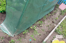 20130525_125905.webp