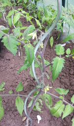 20130525_125918.webp