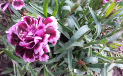 20130525_130254.webp