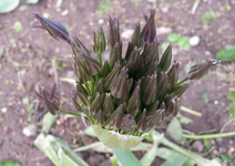 20130525_130310.webp