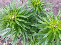 20130525_130327.webp