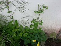 20130525_130400.webp