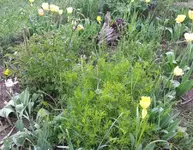 20130525_130431.webp