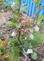 20130525_130502.webp