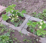 20130525_130527.webp