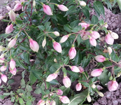 20130525_130543.webp