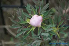 comp_DSC09515.webp