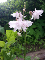 20130525_130626.webp