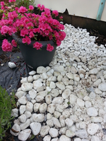 20130525_130743.webp