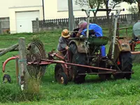 Fit machen zur Heuernte bobbycharly.webp