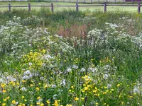 DSCN6484.webp