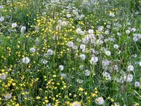 DSCN6558.webp