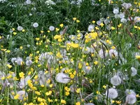 DSCN6555.webp