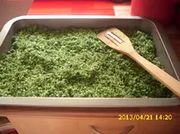 Bärlauchsalz.jpg