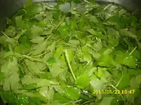 Giersch-Pesto 002.jpg