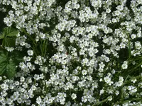 P1160847.webp