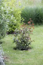 IMG_0854.webp