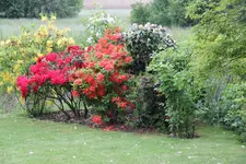 IMG_0856.webp
