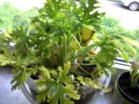 P250513_2002.webp