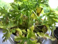 P250513_2003.webp