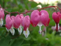 NRW5.webp