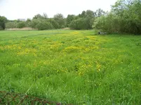 003.webp