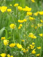 026.webp
