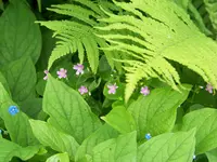 002.webp