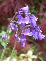 037.webp