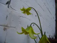 P4270018.webp