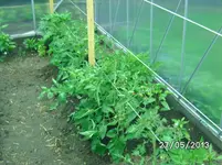 GWH links.webp