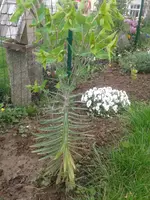 2013-05-20 13.55.52.webp