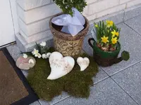 100_0017.webp 100_0017.webp