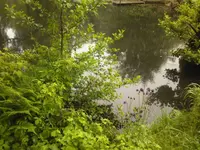 0f668393.xl.webp