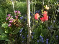BILD2044.webp