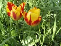 BILD2045.webp