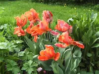 BILD2047.webp