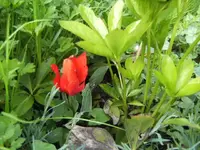 BILD2048.webp