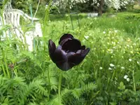 BILD2062.webp