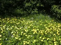 BILD2093.webp