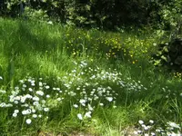 BILD2091.webp