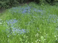 BILD2085.webp