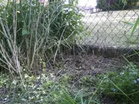 BILD2096.webp